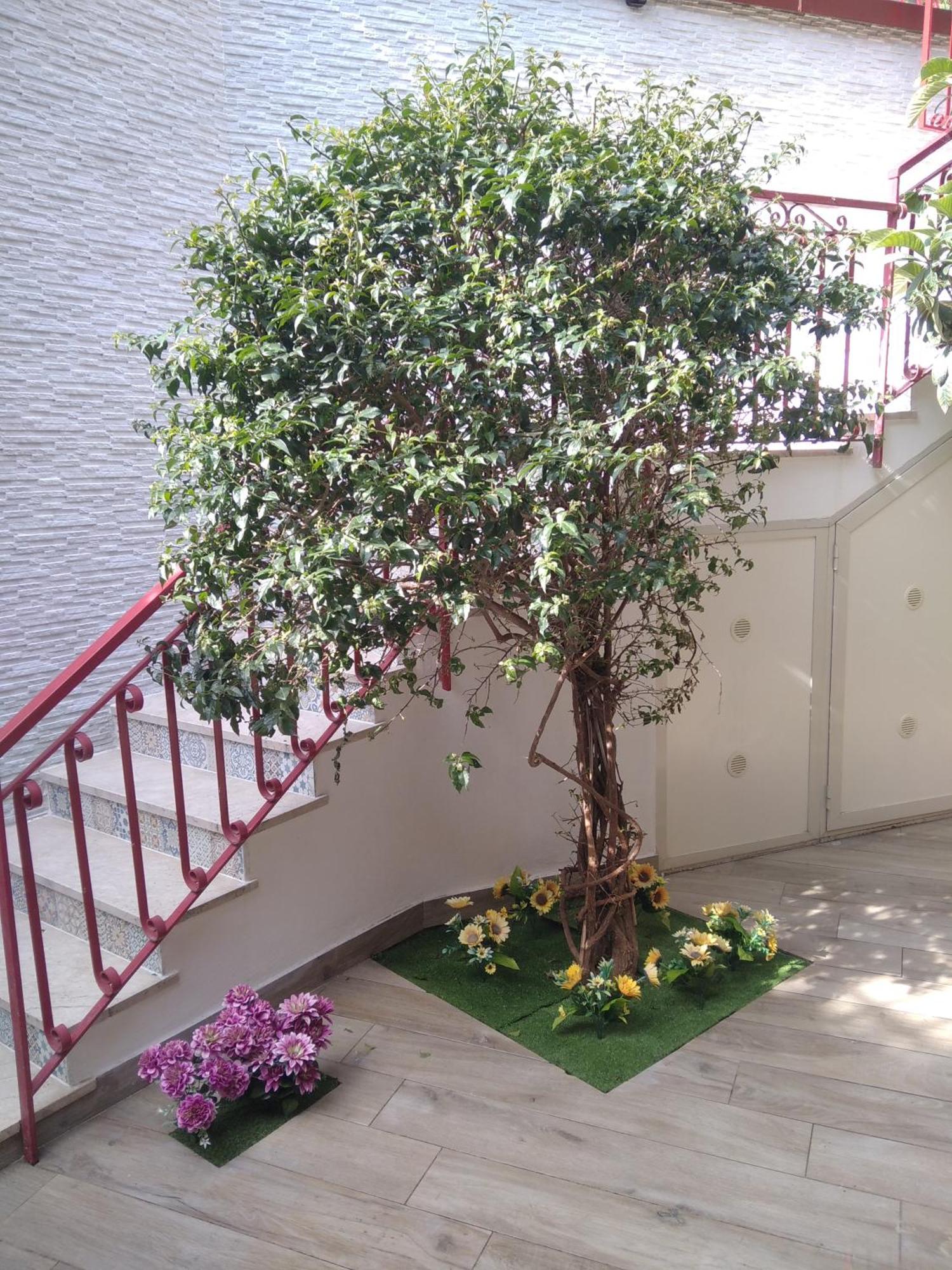 Poggio Del Sole Apartment Летояни Екстериор снимка